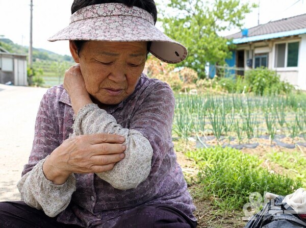 농번기 진드기는 귀찮음의 문제가 아니라 건강의 문제다. (사진=AI 기반 요양뉴스 재구성)