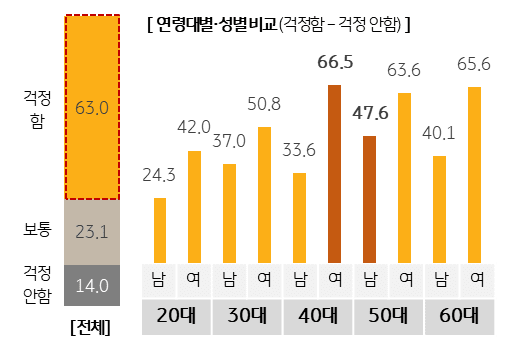 웰니스와 관련된 사람들의 가장 큰 우려는 인지건강인 것으로 나타났다. (사진=KB금융그룹 웰니스 보고서 발췌)